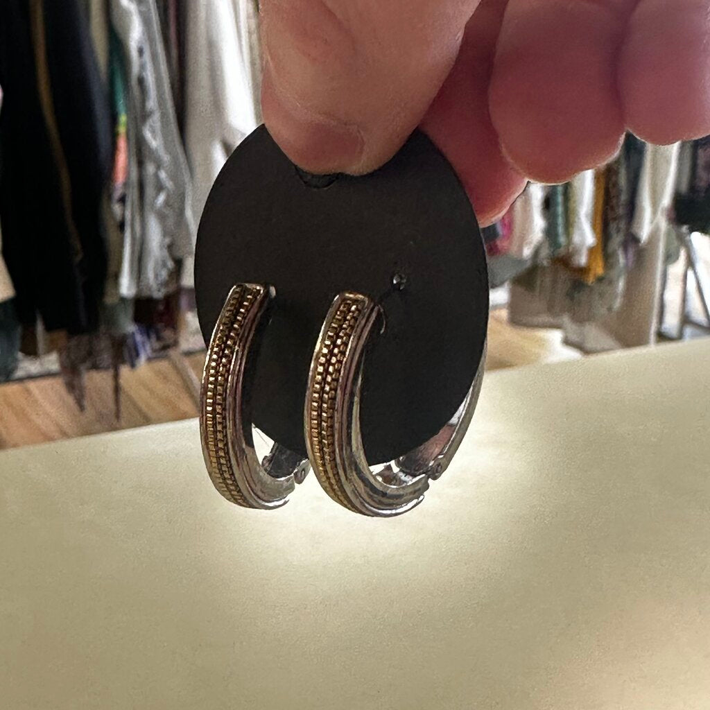 Two Toned Hoop Earrings