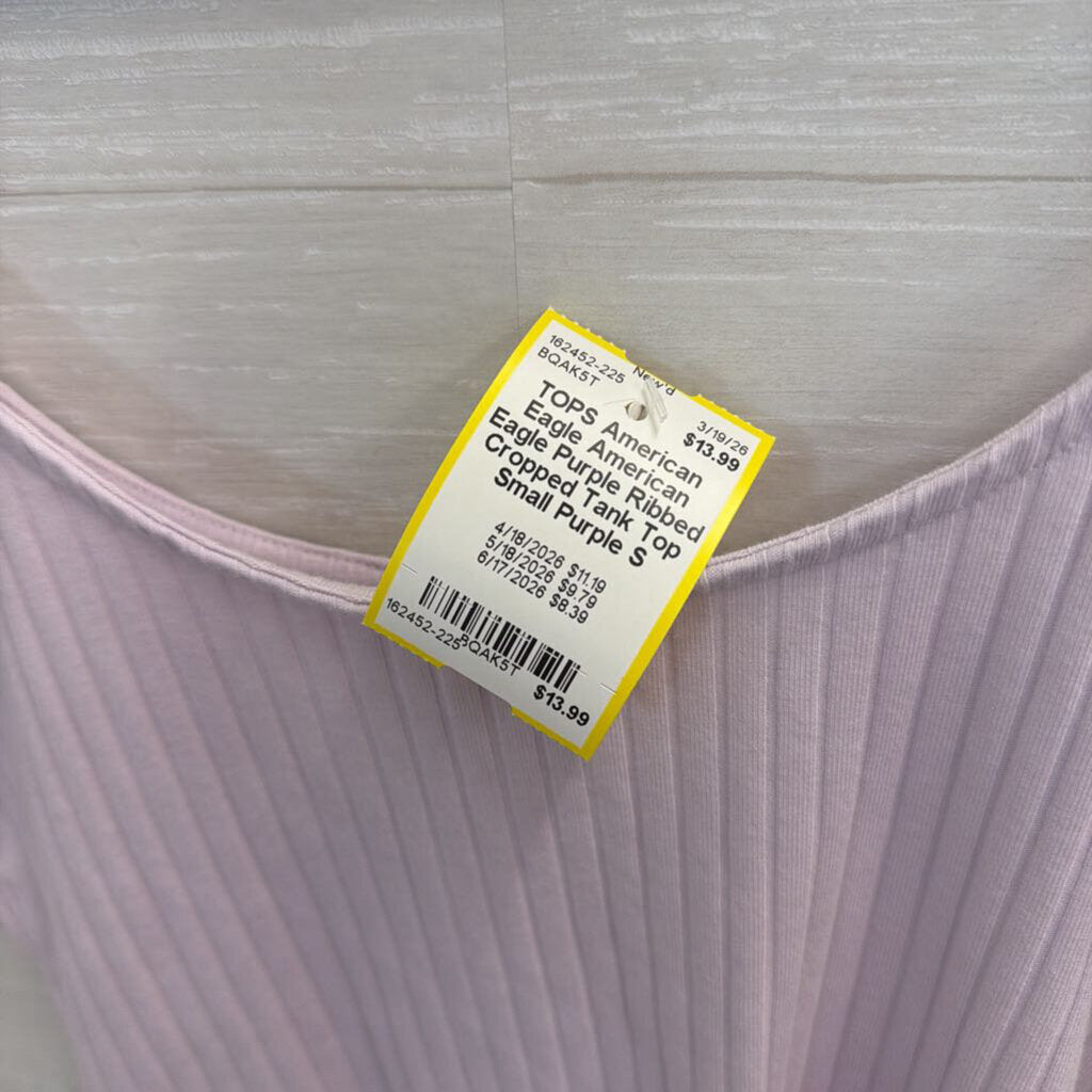 American Eagle Purple Ribbed Cropped Tank Top Small