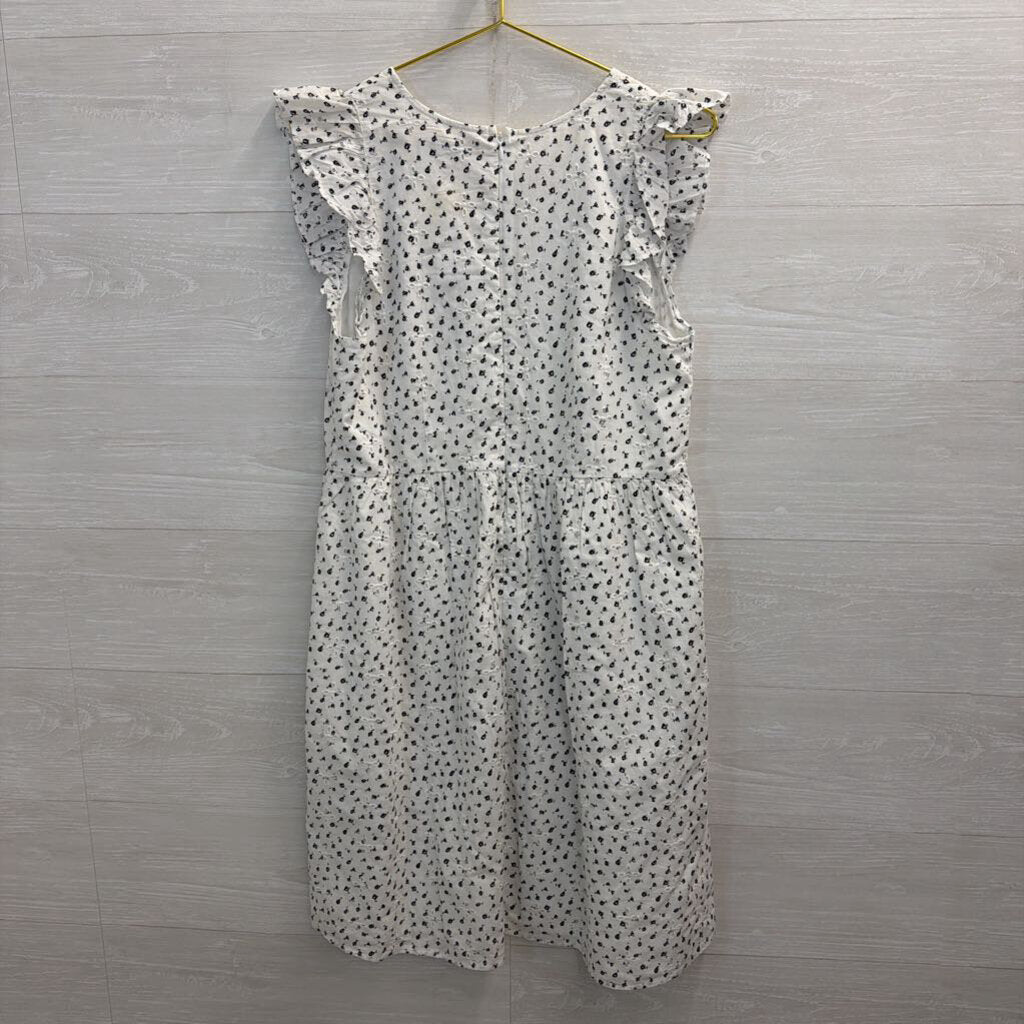 Loft White/ Black Eyelet Print Short Sleeve Dress 8 Tall