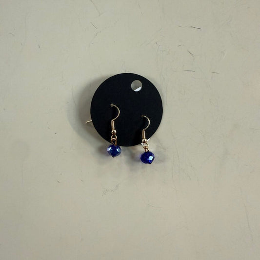 Blue Stone Dangle Earrings