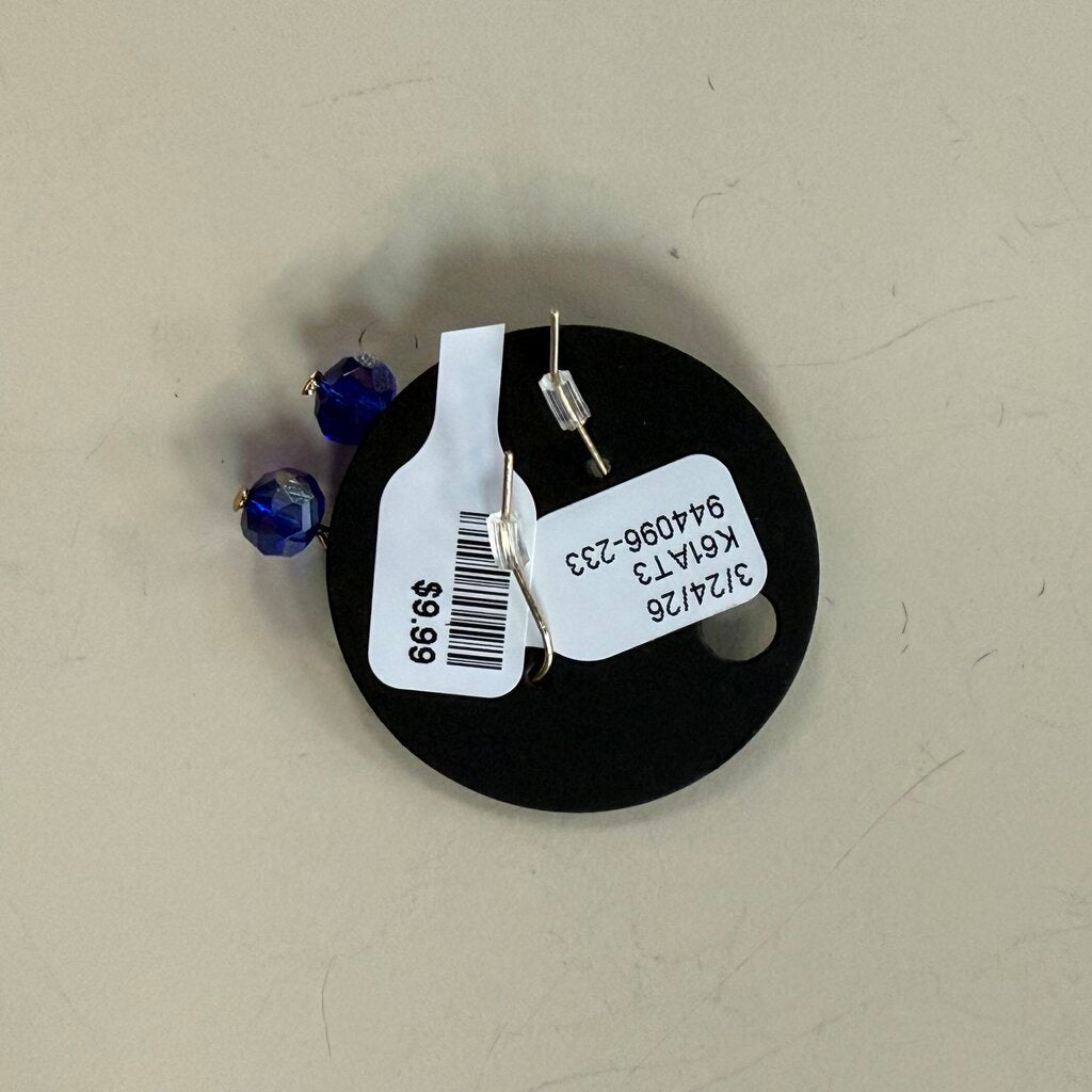 Blue Stone Dangle Earrings