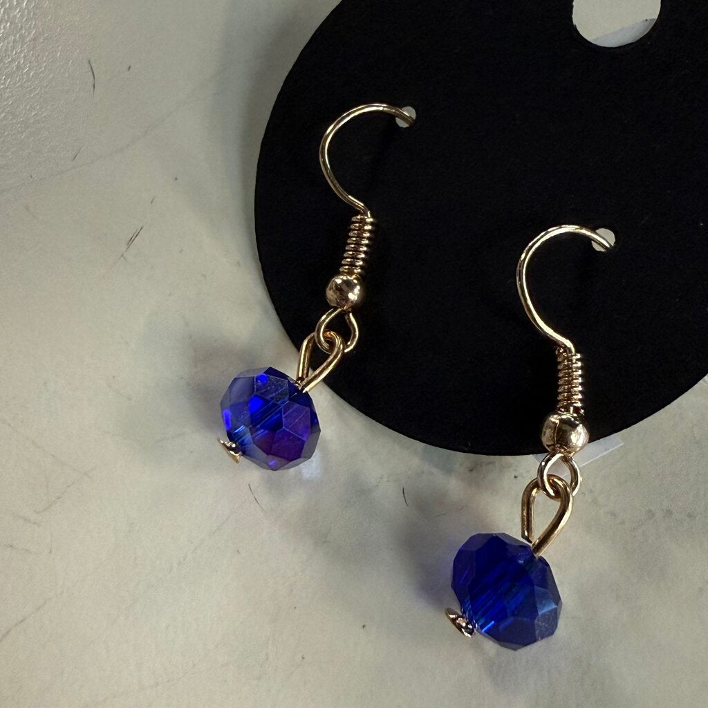 Blue Stone Dangle Earrings