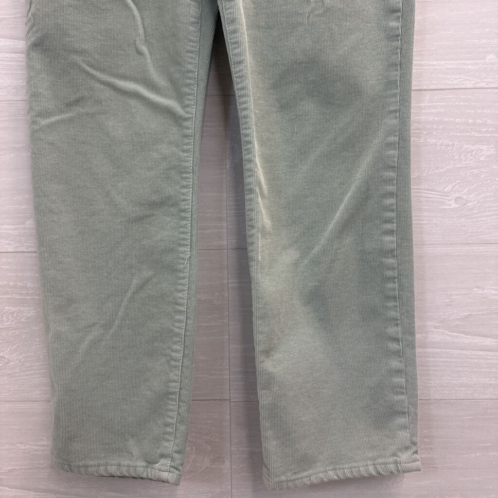 J Crew Blue Corduroy Wide Leg Pants 29