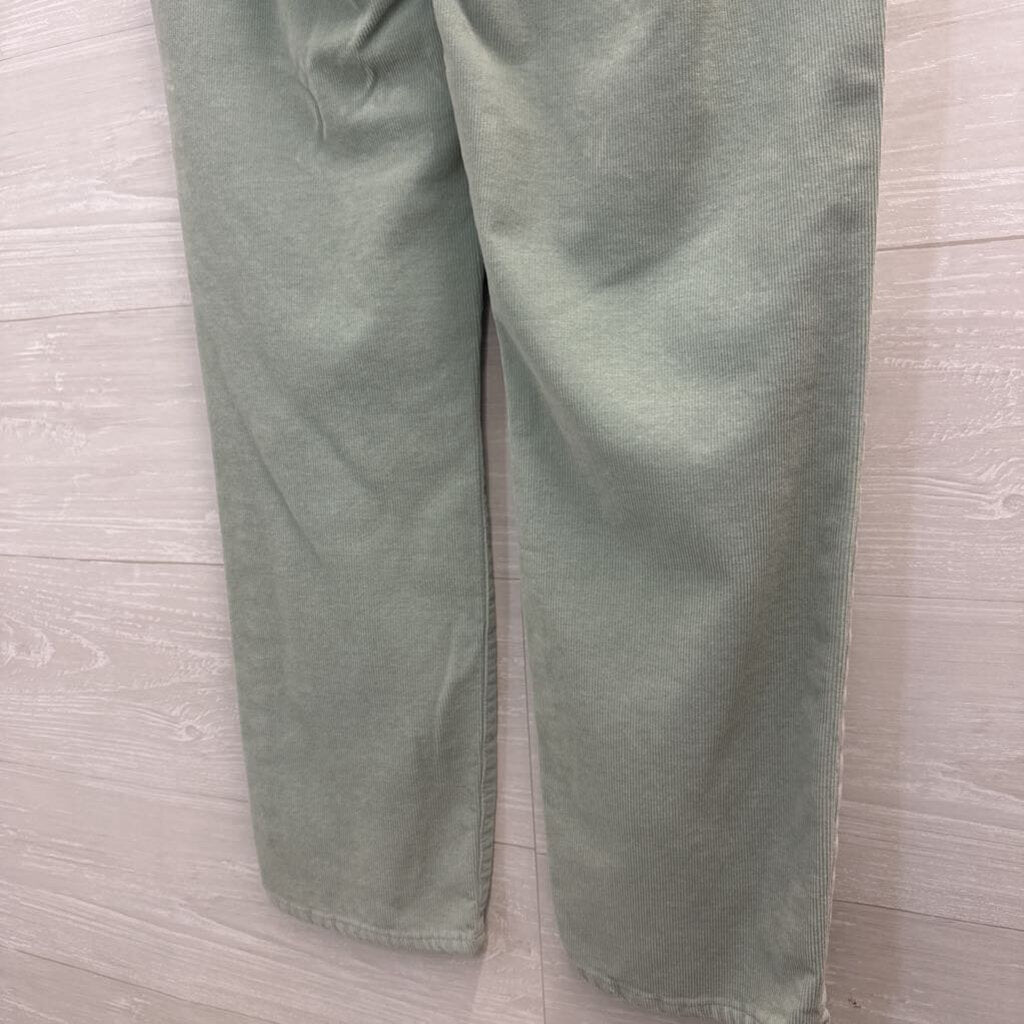 J Crew Blue Corduroy Wide Leg Pants 29