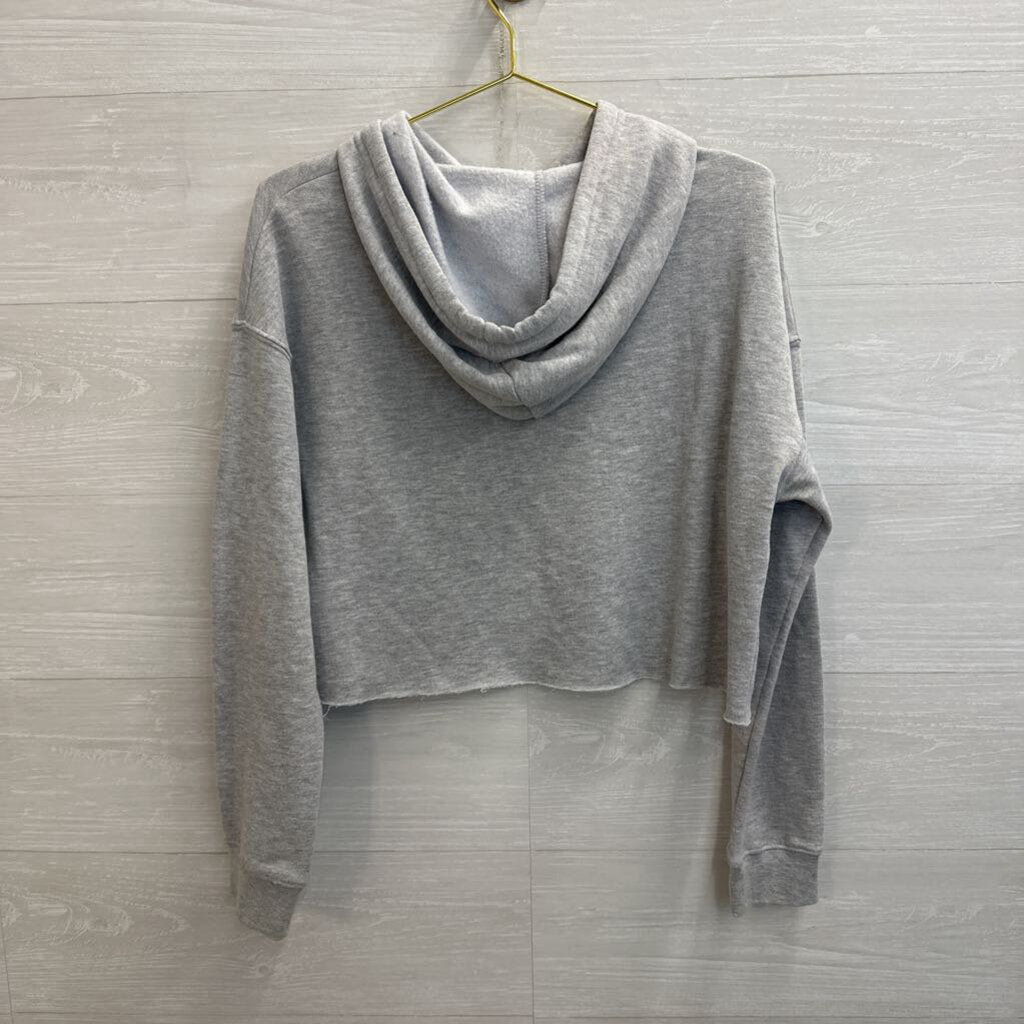Grey/ Multi Cropped Blackburg Graphic Hoodie Medium