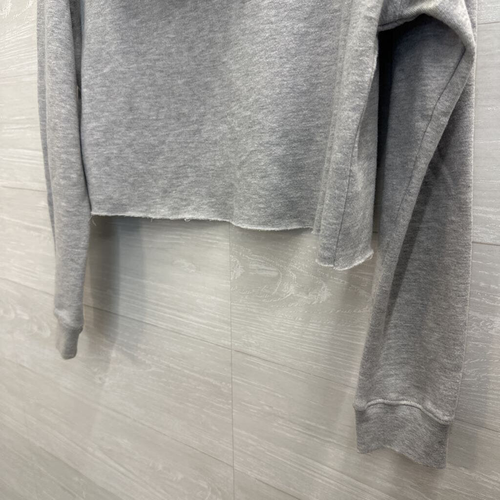 Grey/ Multi Cropped Blackburg Graphic Hoodie Medium