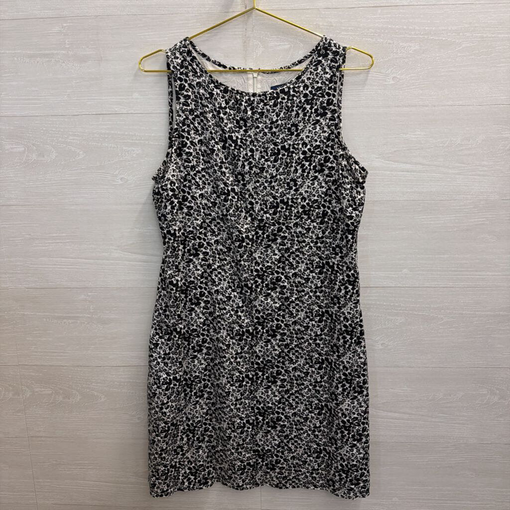 J Crew White/ Black Print Sleeveless Shift Dress 12