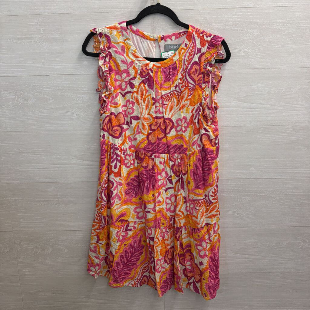 Blue B White/ Multi Print Dress Small