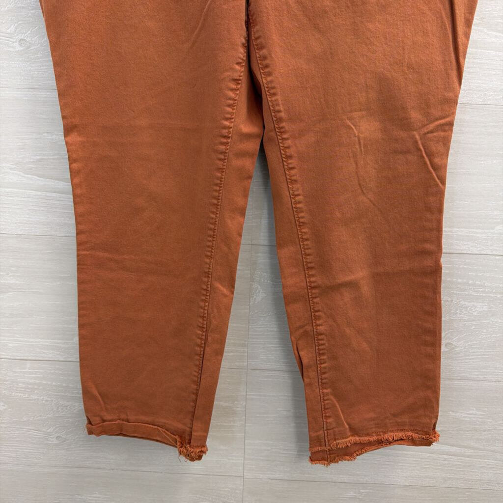 Loft Orange Straight Leg Pants Medium