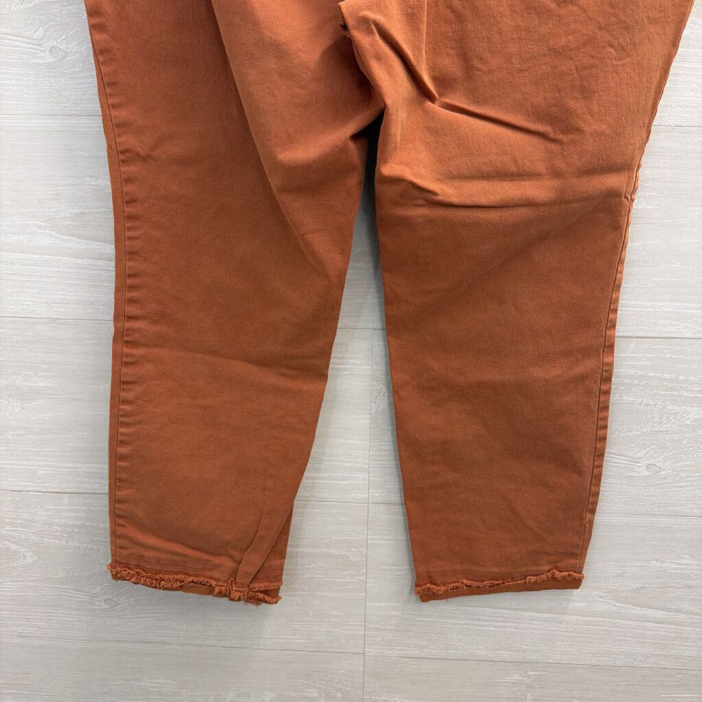 Loft Orange Straight Leg Pants Medium
