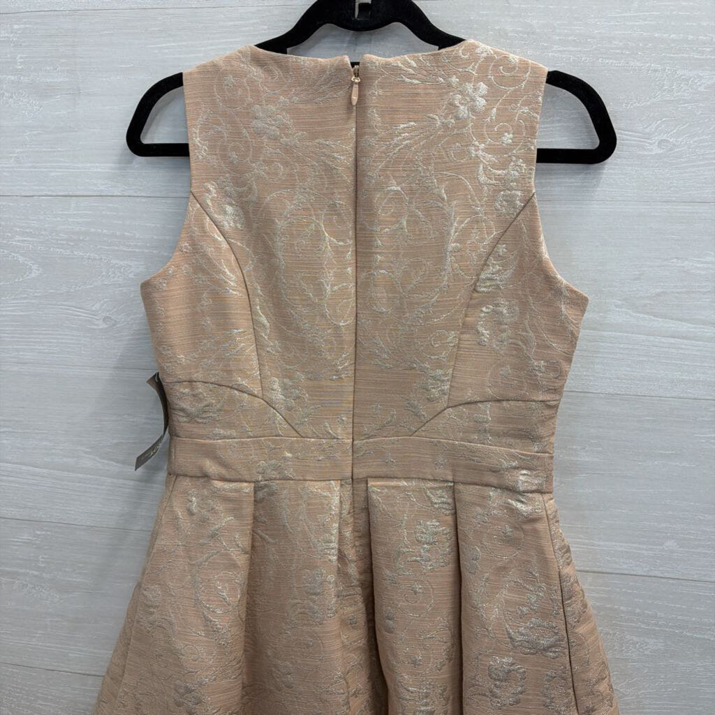 Eva Mendes Blush Metallic Print Sleeveless Dress 4