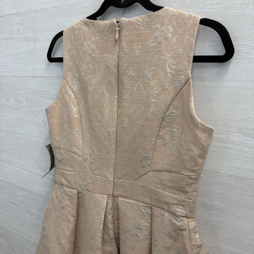Eva Mendes Blush Metallic Print Sleeveless Dress 4
