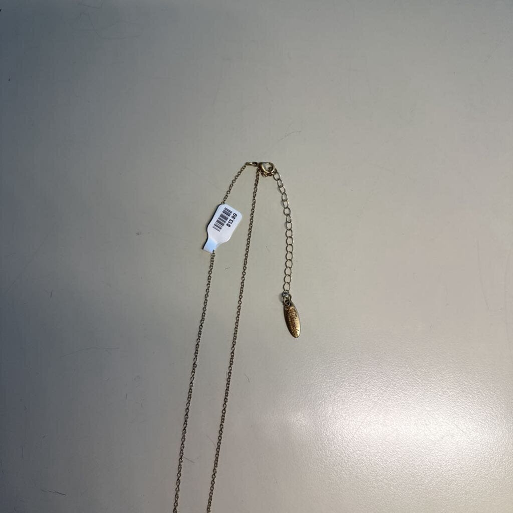 Plunder Gold/ Pearl Detail Long Necklace