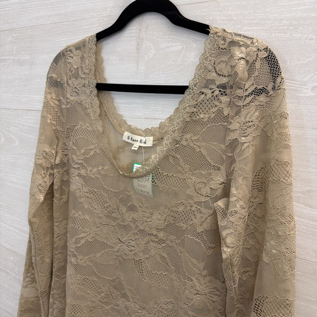 A Rare Bird Brown Sheer Lace Long Sleeve Top Small