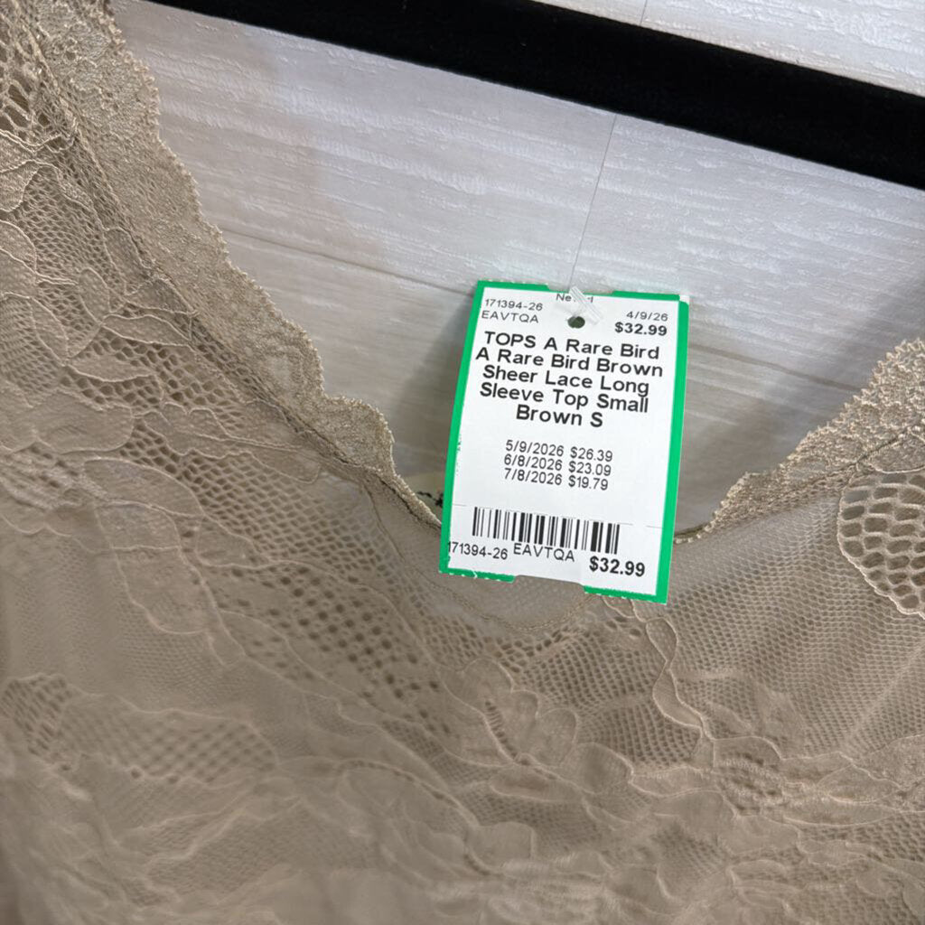 A Rare Bird Brown Sheer Lace Long Sleeve Top Small