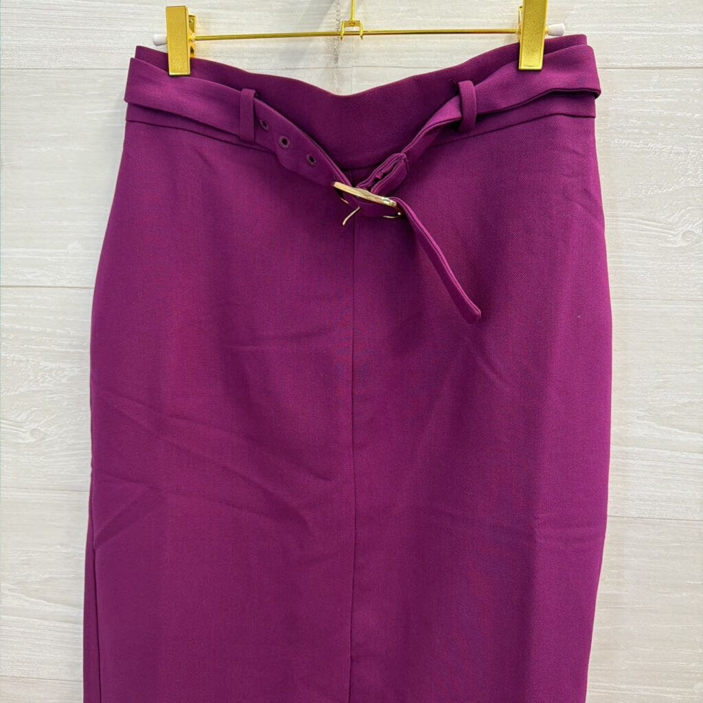 Ann Taylor Purple Pencil Skirt 4 NWT