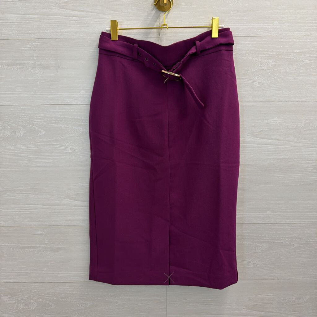 Ann Taylor Purple Pencil Skirt 4 NWT
