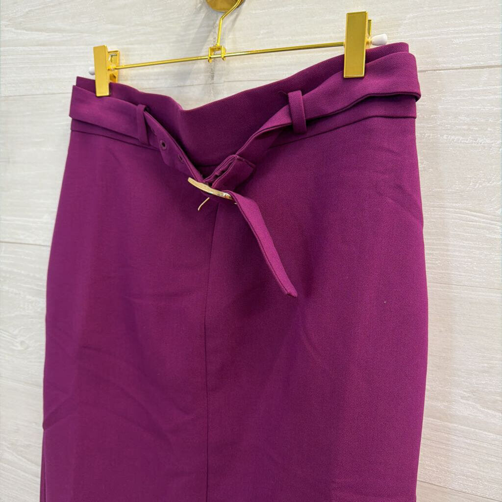 Ann Taylor Purple Pencil Skirt 4 NWT