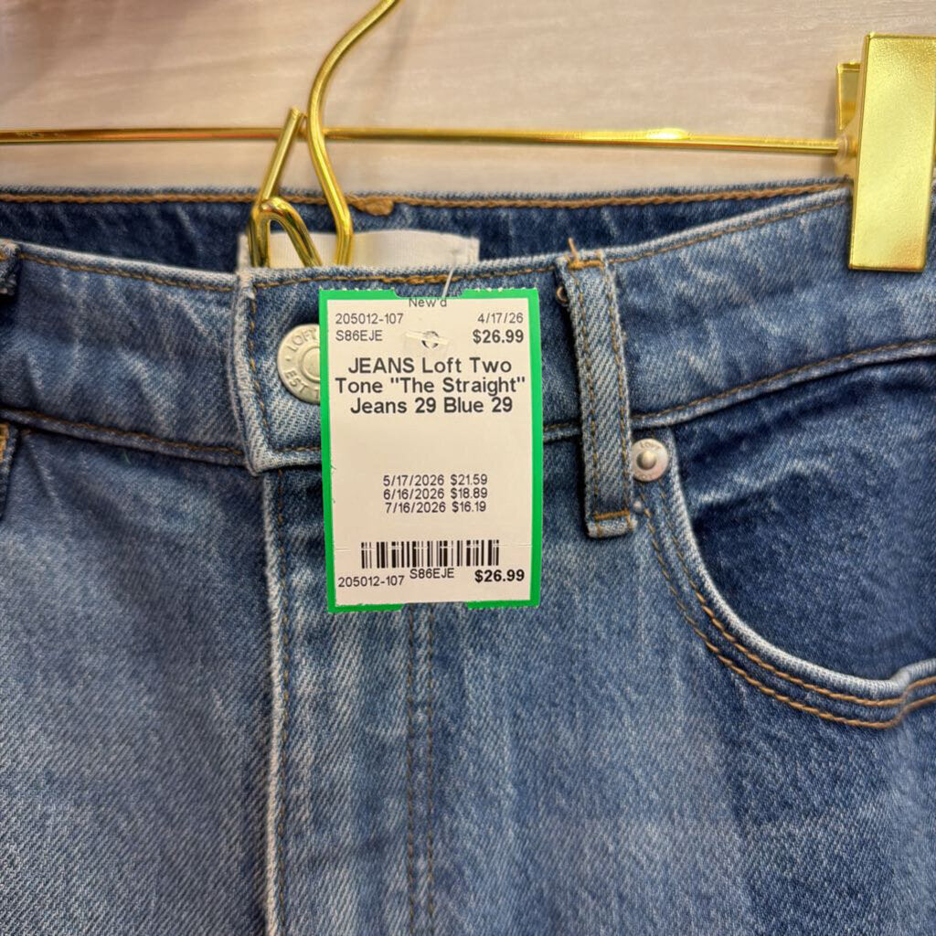 Loft Two Tone "The Straight" Jeans 29