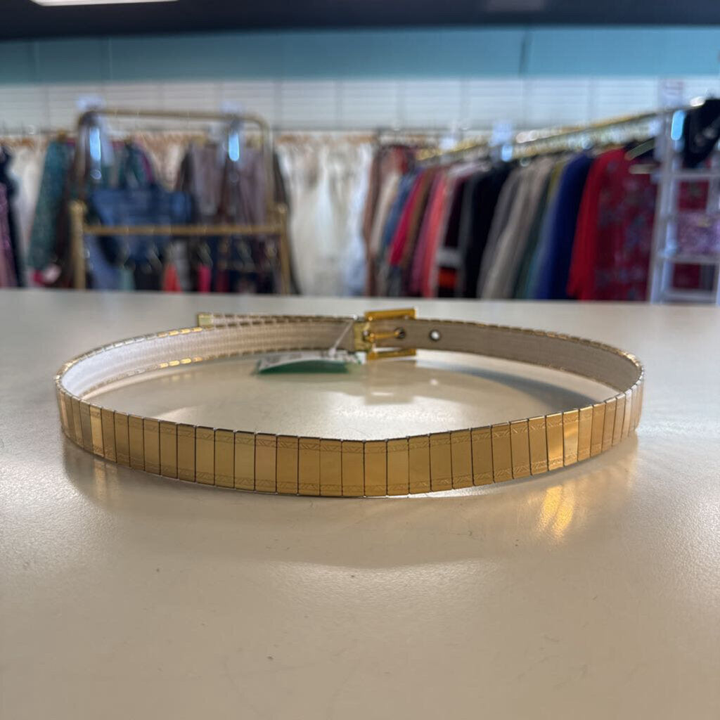 Vintage Gold Belt Extra Small