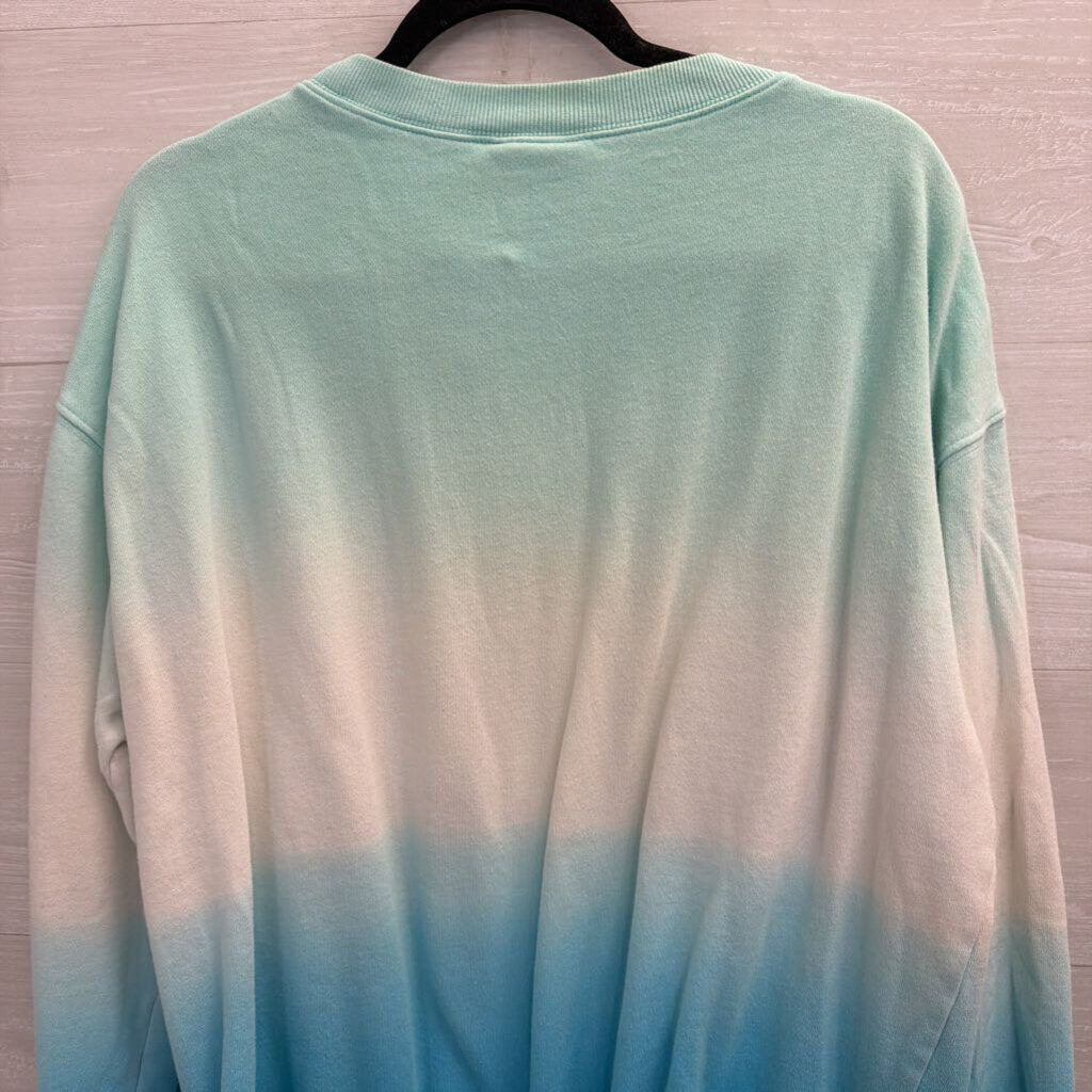 Disney Blue/ White Walt Disney World Long Sleeve Crewneck Sweatshirt Large
