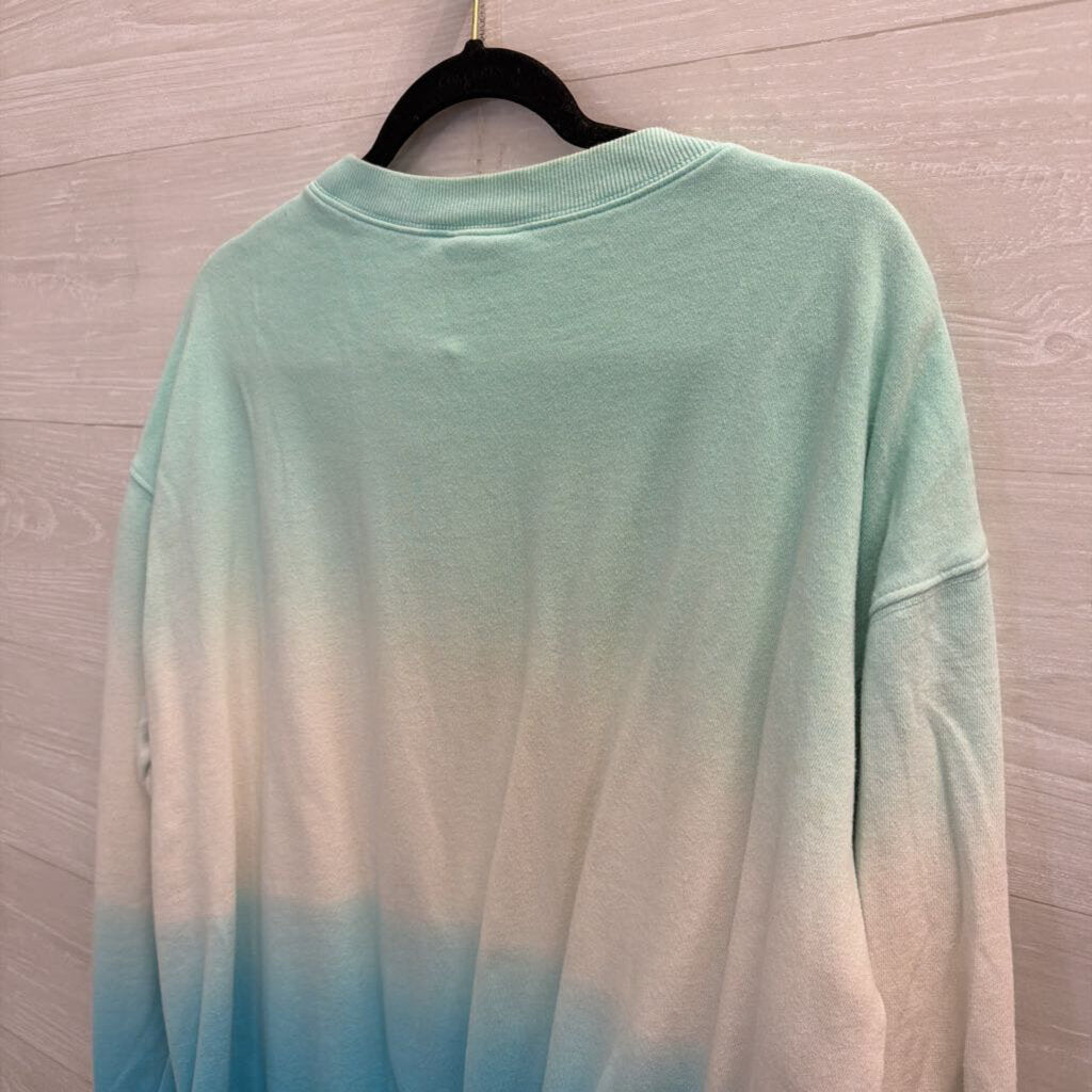 Disney Blue/ White Walt Disney World Long Sleeve Crewneck Sweatshirt Large