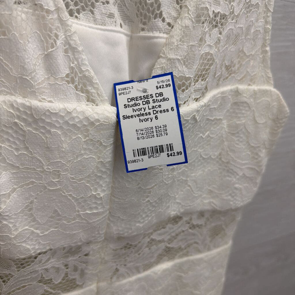 DB Studio Ivory Lace Sleeveless Dress 6