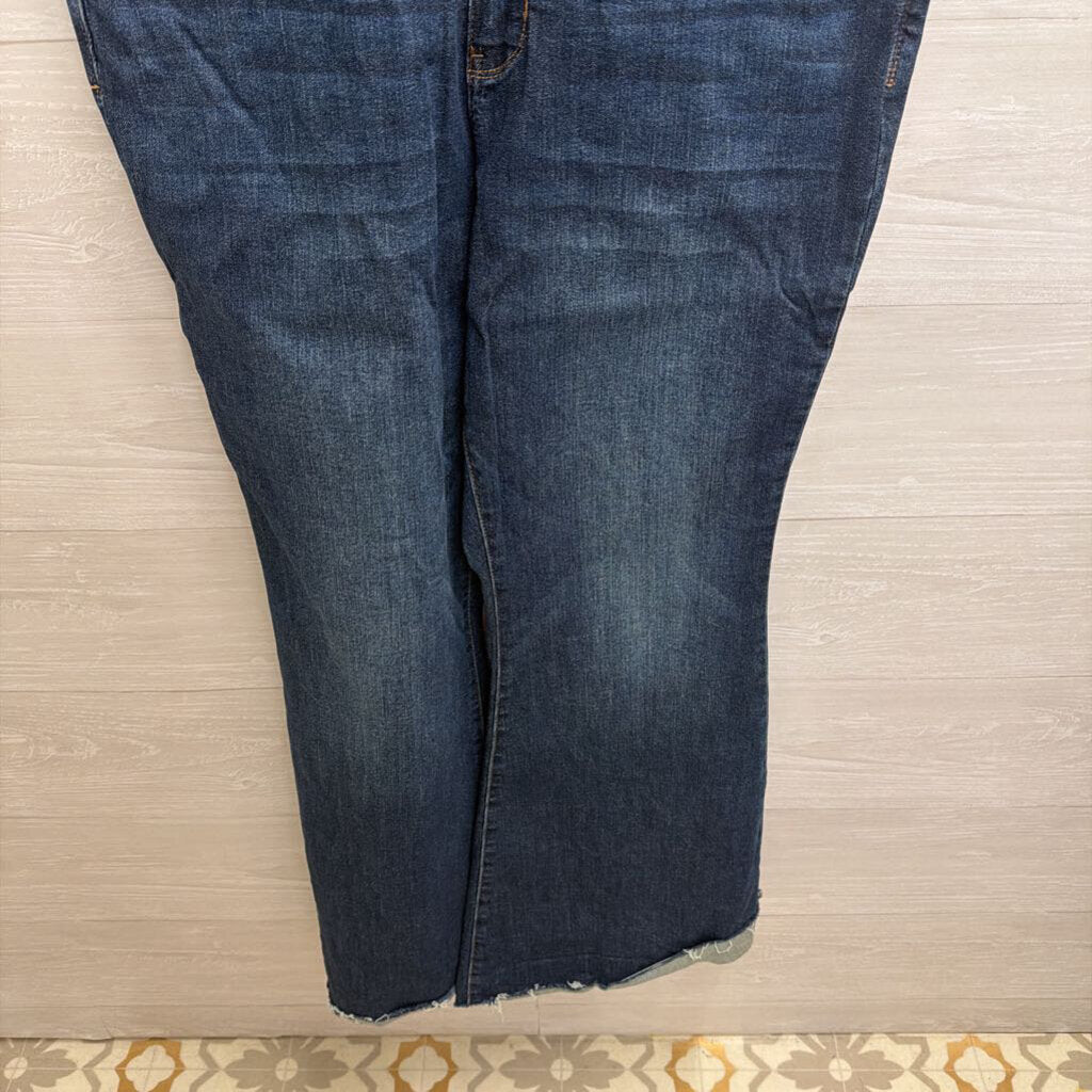 Judy Blue Dark Wash Denim Overalls 1XL