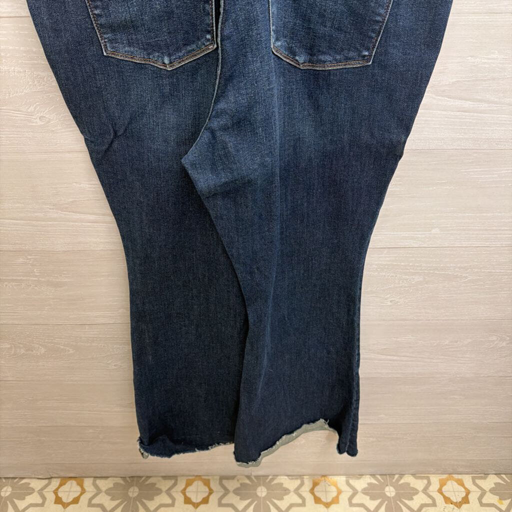 Judy Blue Dark Wash Denim Overalls 1XL
