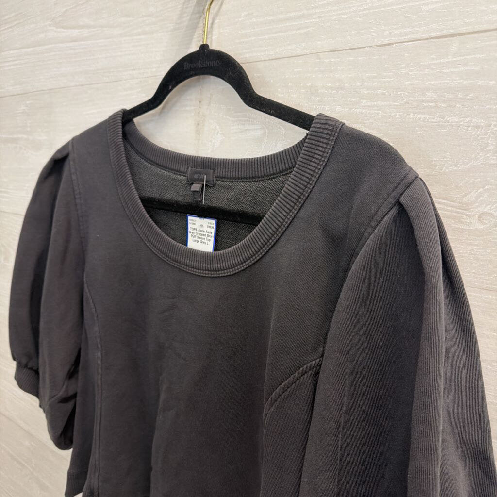 Aerie Grey Cropped Short Puff Sleeve Top Large