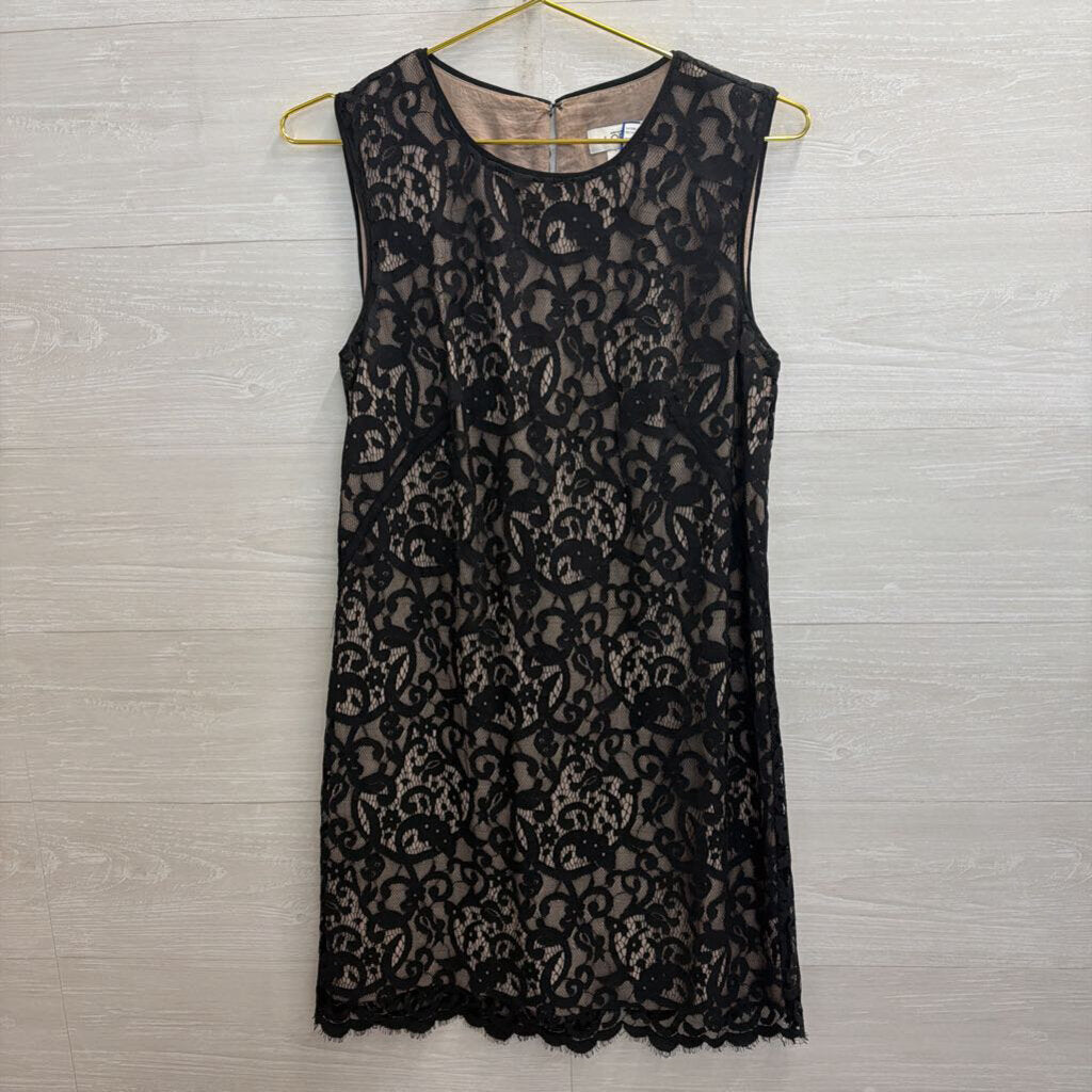 Loft Black/ Beige Lace Sleeveless Shift Dress 6