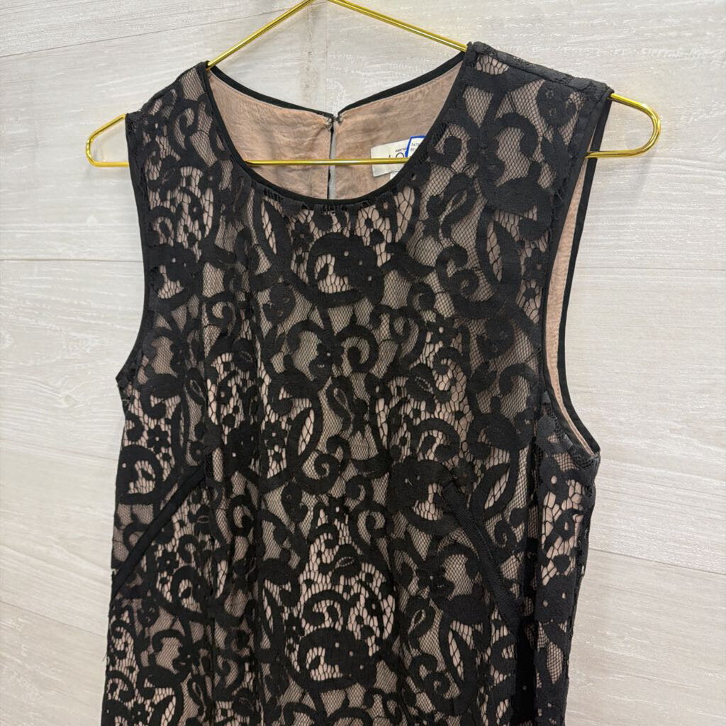 Loft Black/ Beige Lace Sleeveless Shift Dress 6