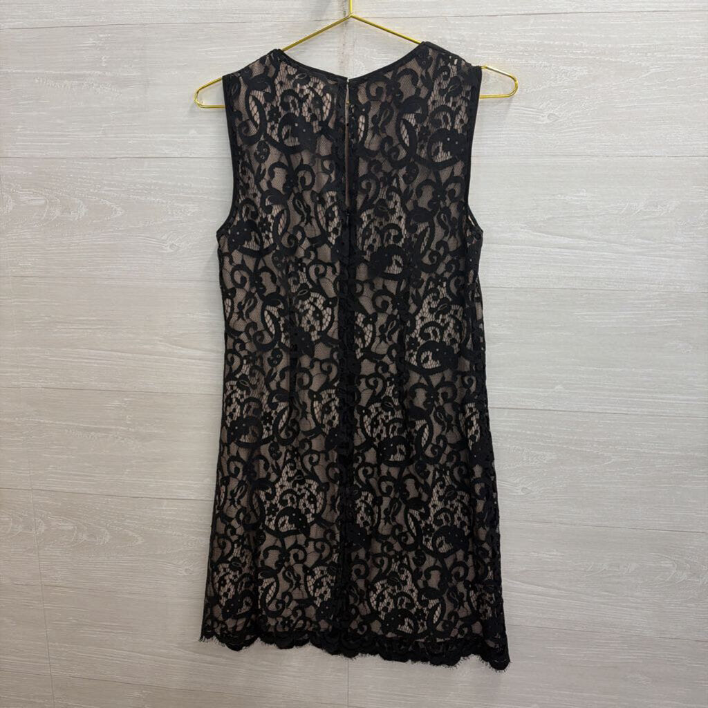 Loft Black/ Beige Lace Sleeveless Shift Dress 6