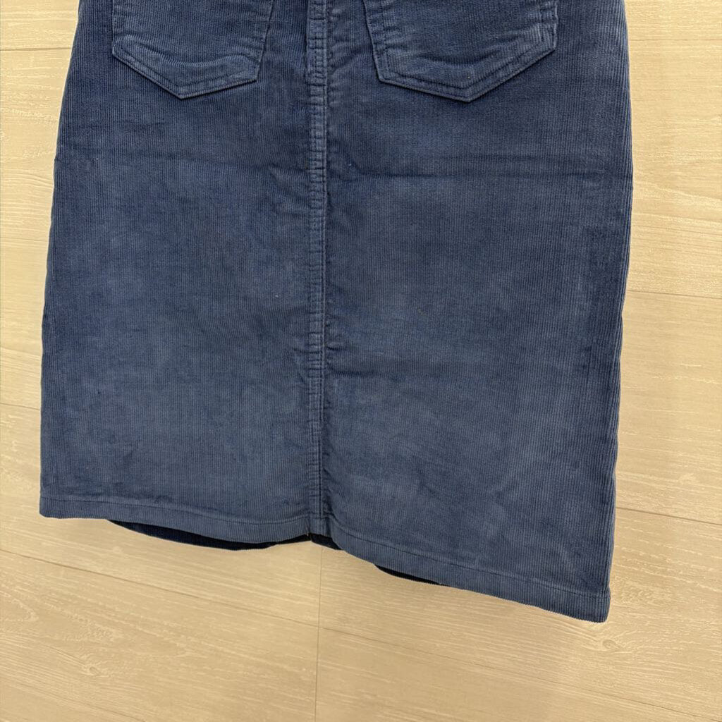 Everlane Blue Corduroy Button Front Midi Skirt 23