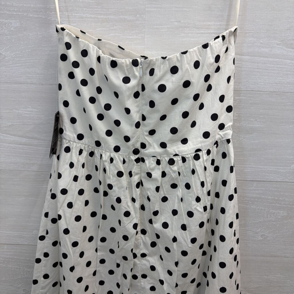 Boston Proper White/ Black Polka Dot Strapless Dress 8