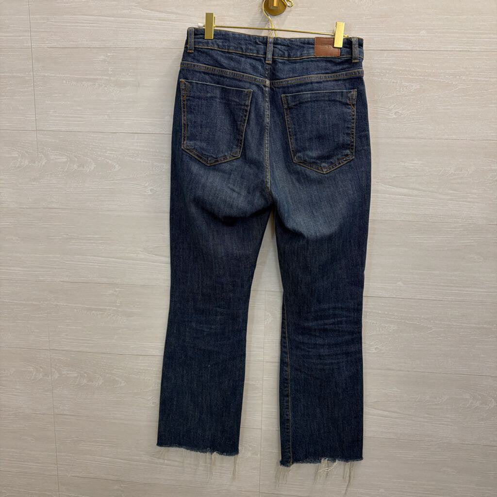 Zara Dark Wash Straight Leg Jeans 6