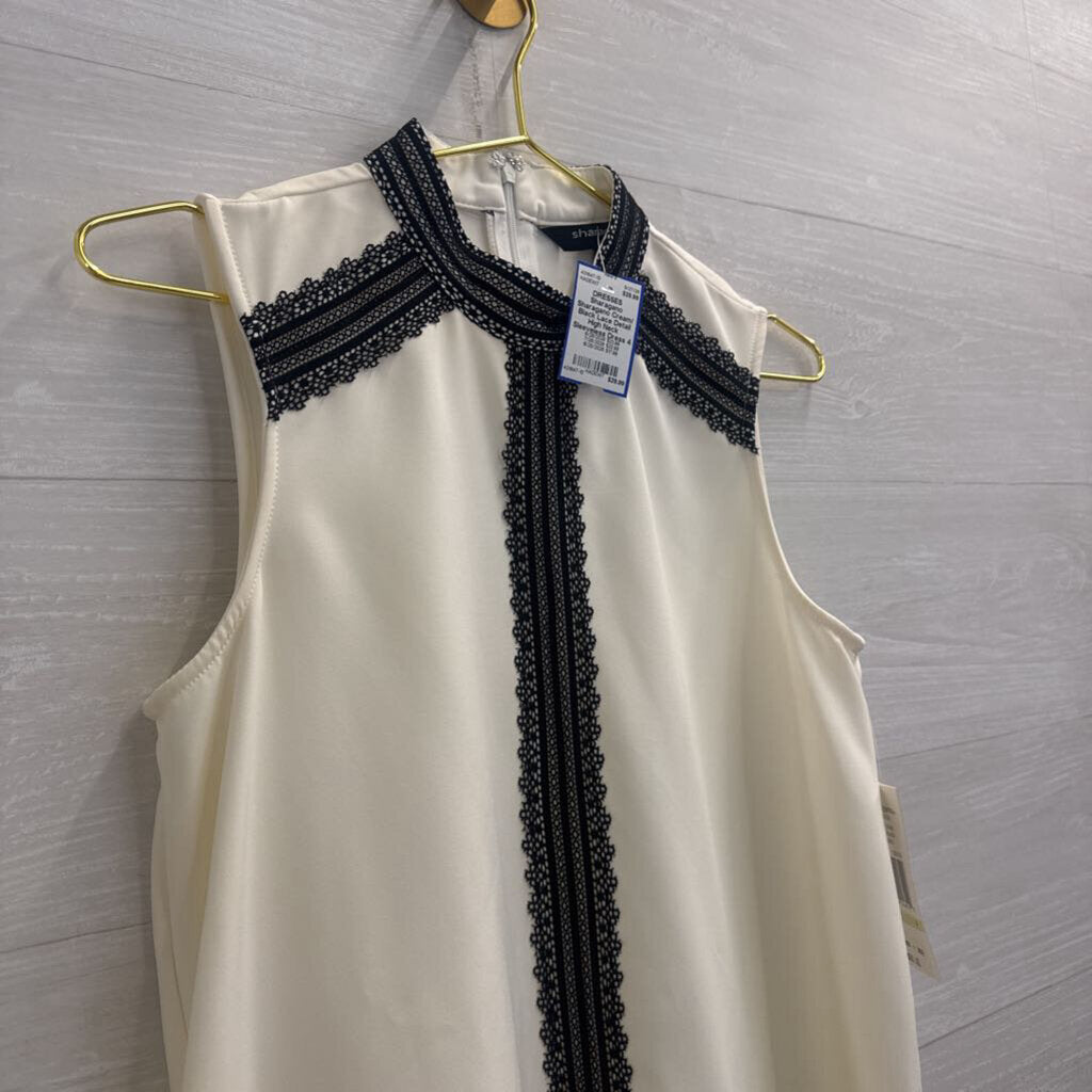 Sharagano Cream/ Black Lace Detail High Neck Sleeveless Dress 4