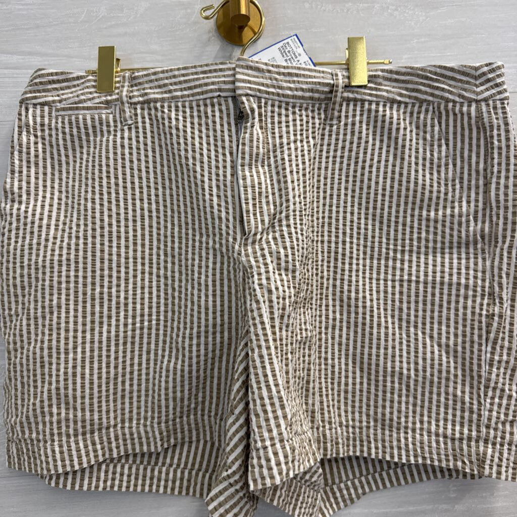 Brown/ White Striped Shorts 14