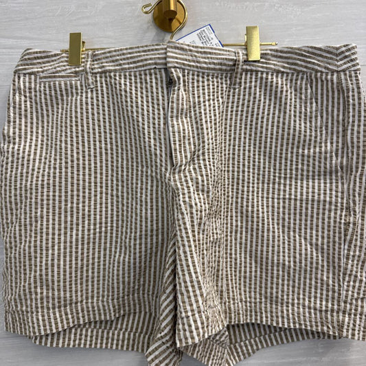 Brown/ White Striped Shorts 14