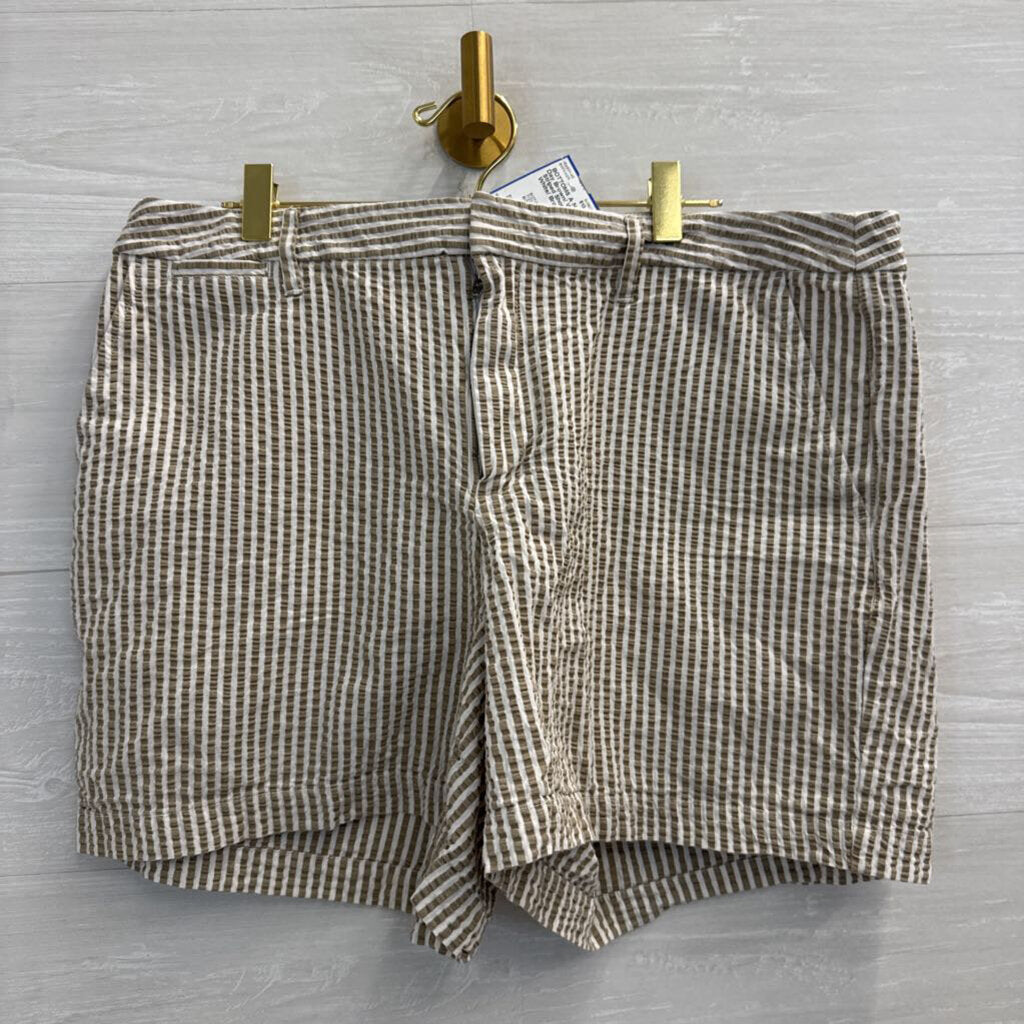Brown/ White Striped Shorts 14