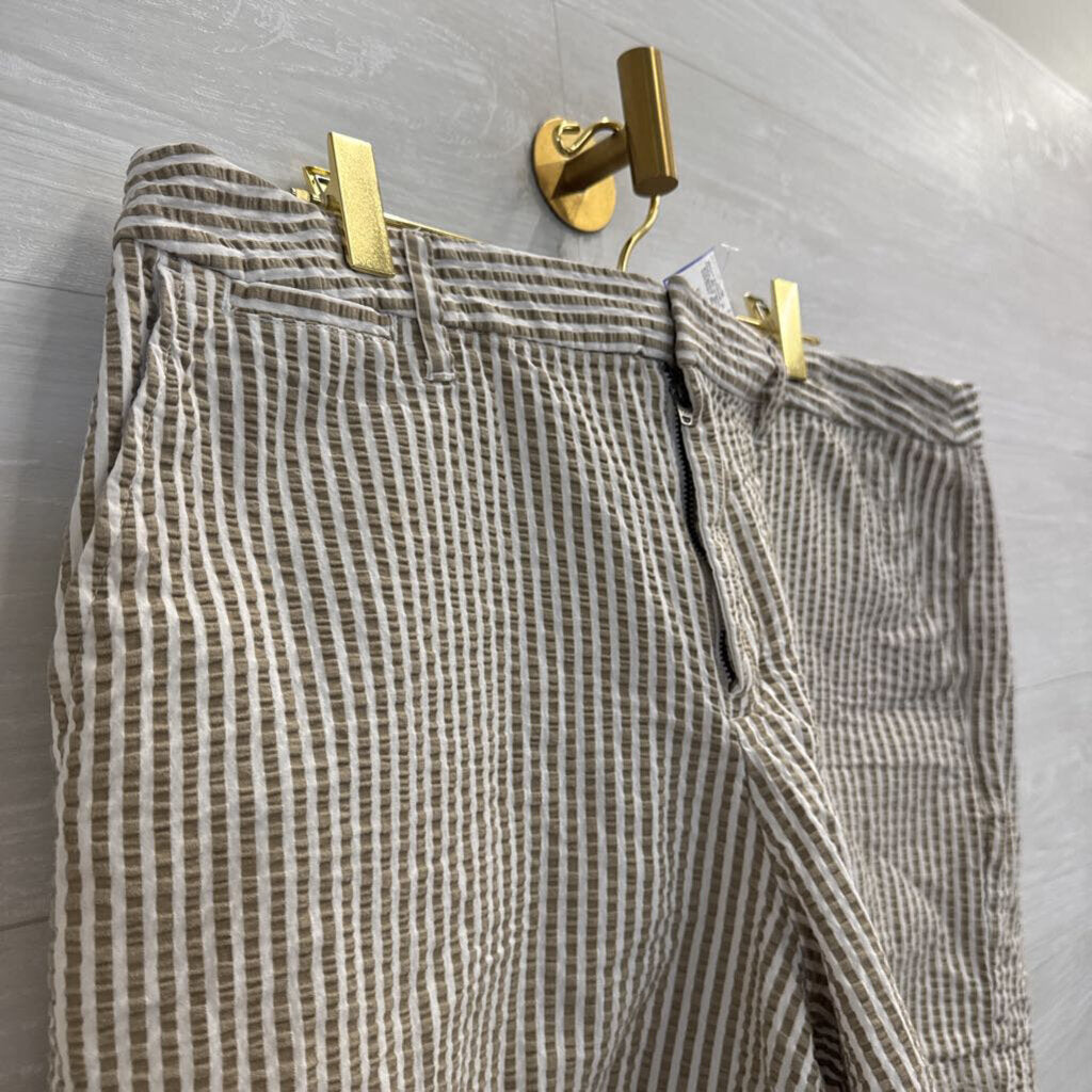Brown/ White Striped Shorts 14