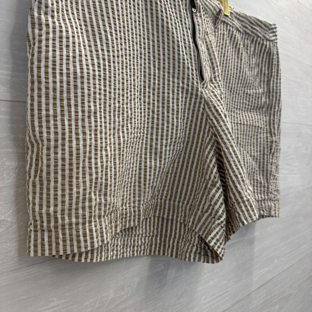 Brown/ White Striped Shorts 14