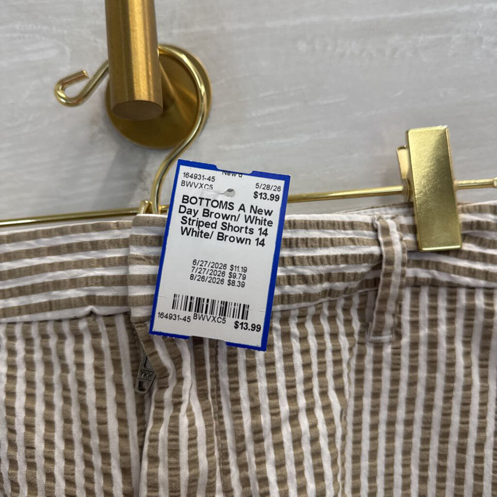 Brown/ White Striped Shorts 14