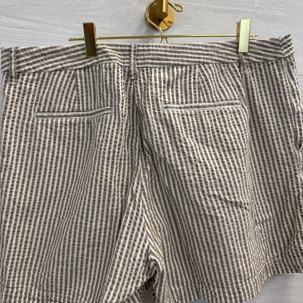 Brown/ White Striped Shorts 14