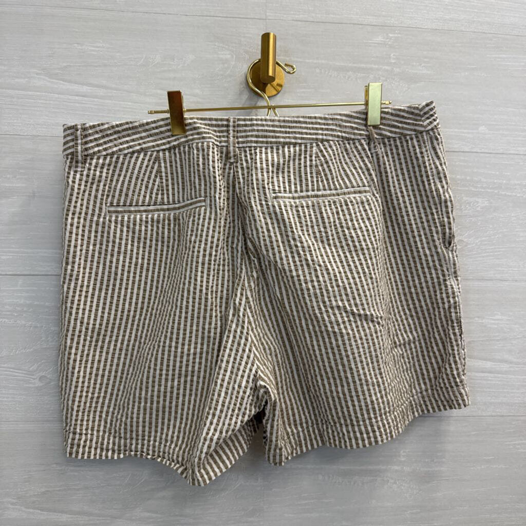Brown/ White Striped Shorts 14