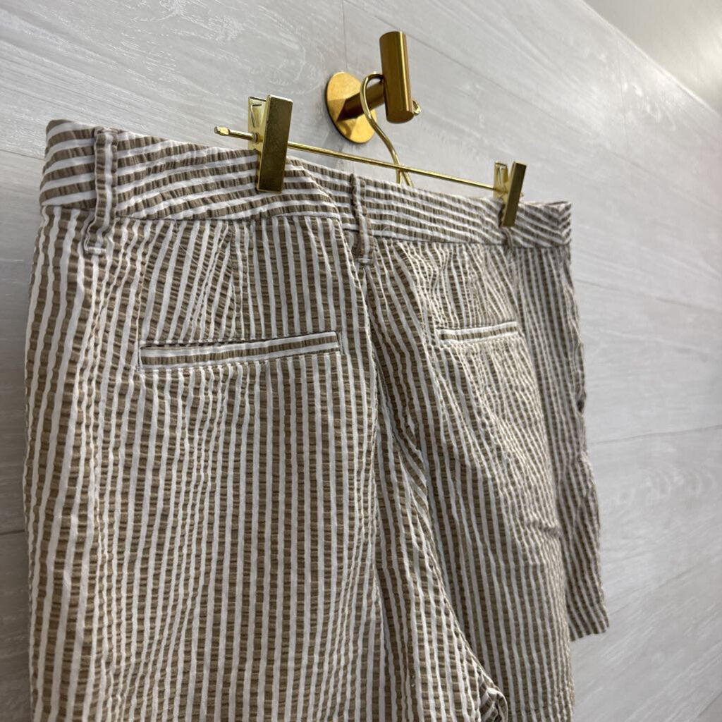 Brown/ White Striped Shorts 14