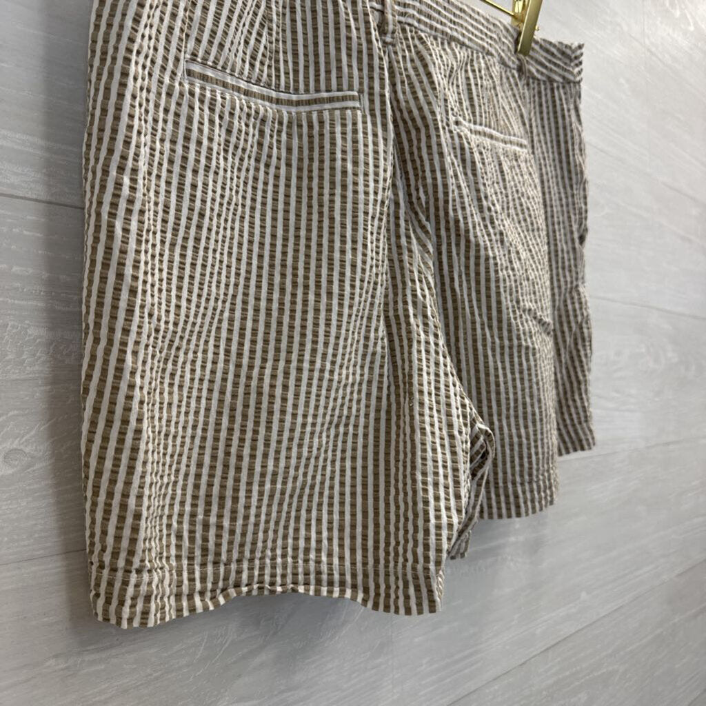 Brown/ White Striped Shorts 14