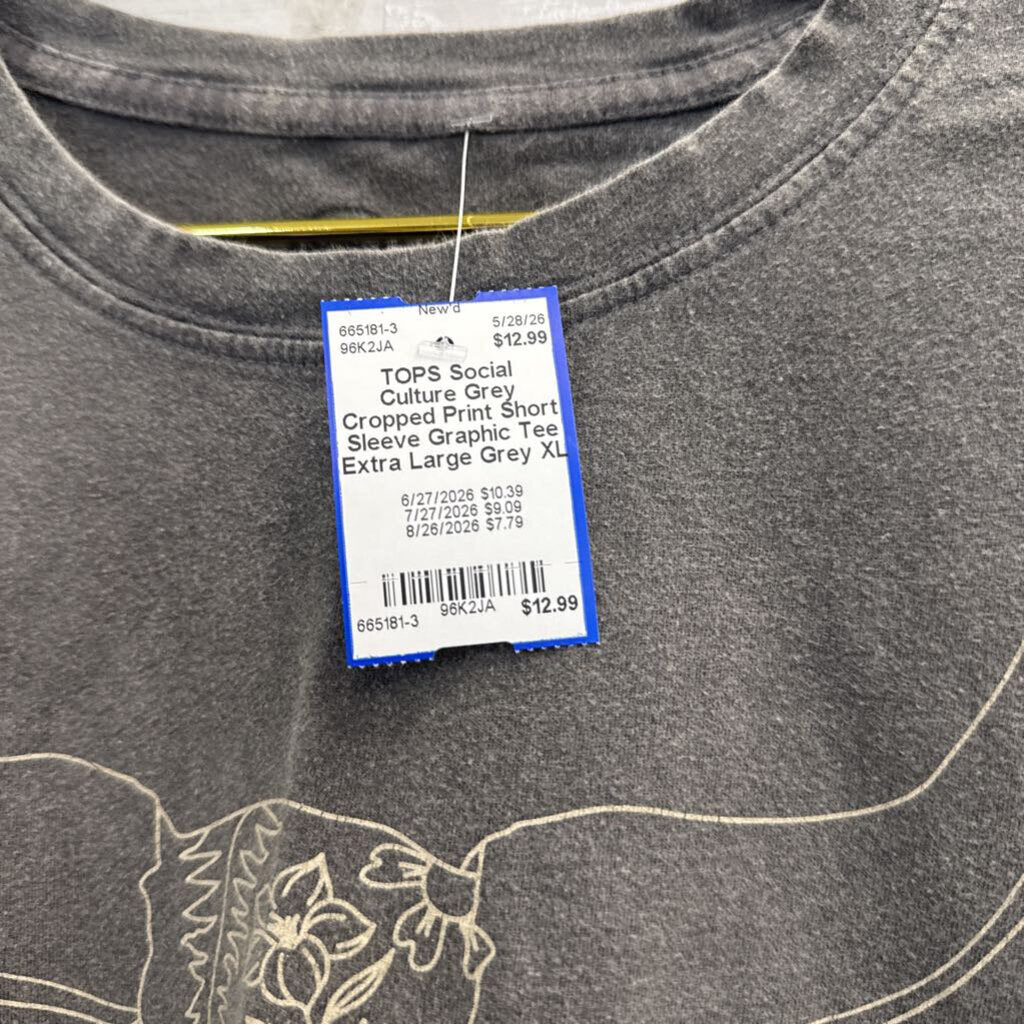 Grey Cropped Print Short Sleeve Graphic Tee Extra Large