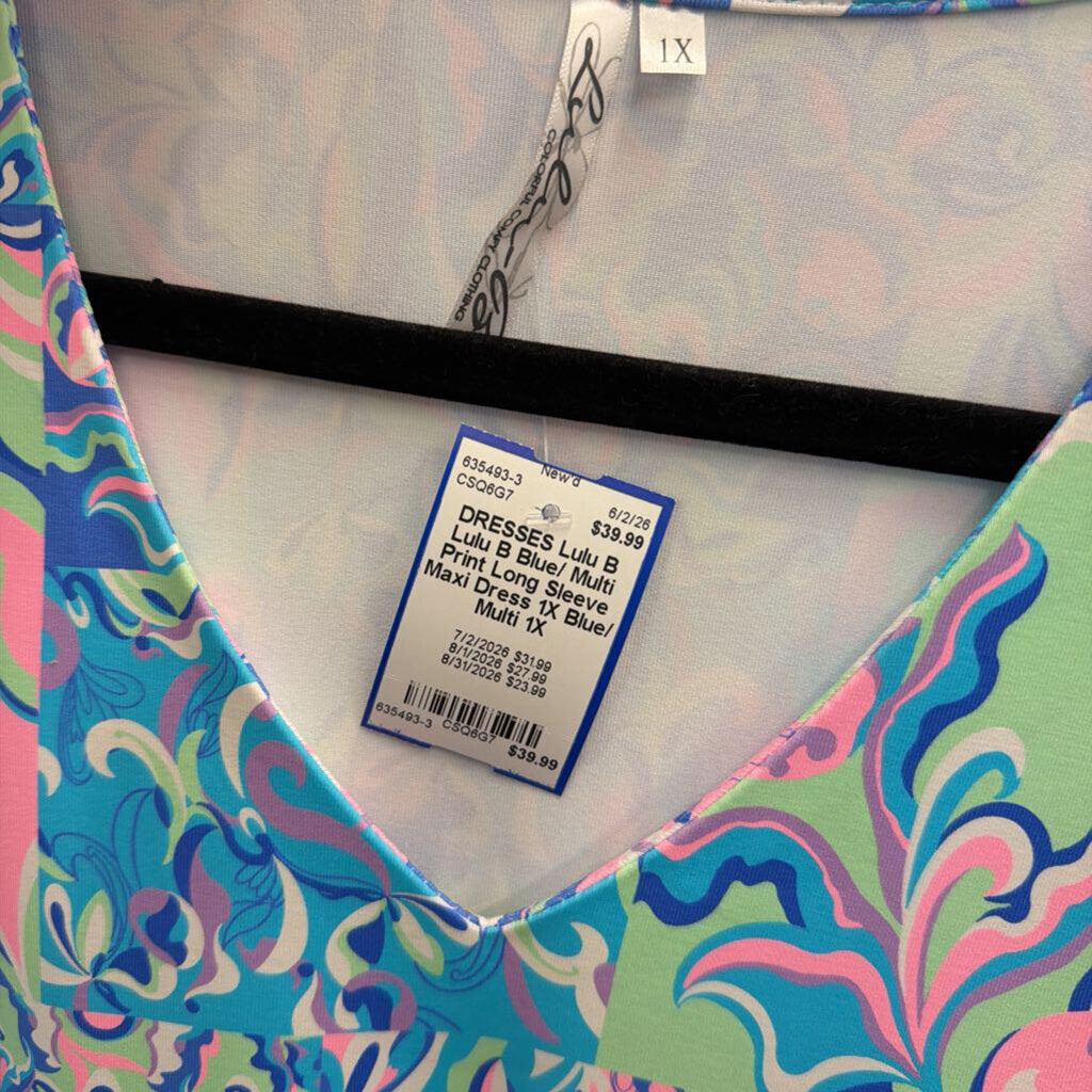 Lulu B Blue/ Multi Print Long Sleeve Maxi Dress 1X
