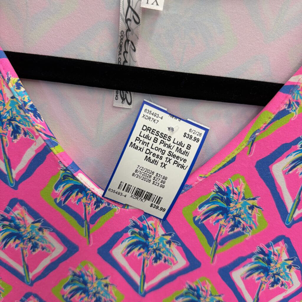 Lulu B Pink/ Multi Print Long Sleeve Maxi Dress 1X